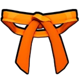 Dojo Belt (Orange)