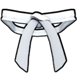 Dojo Belt (White)