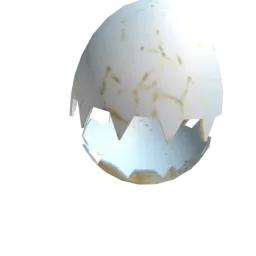 Cracked Egg