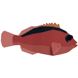 Flamekissed Hawkfish