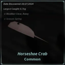 Horseshoe Crab