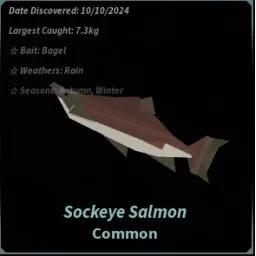 Sockeye Salmon