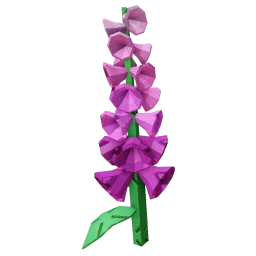 Foxglove